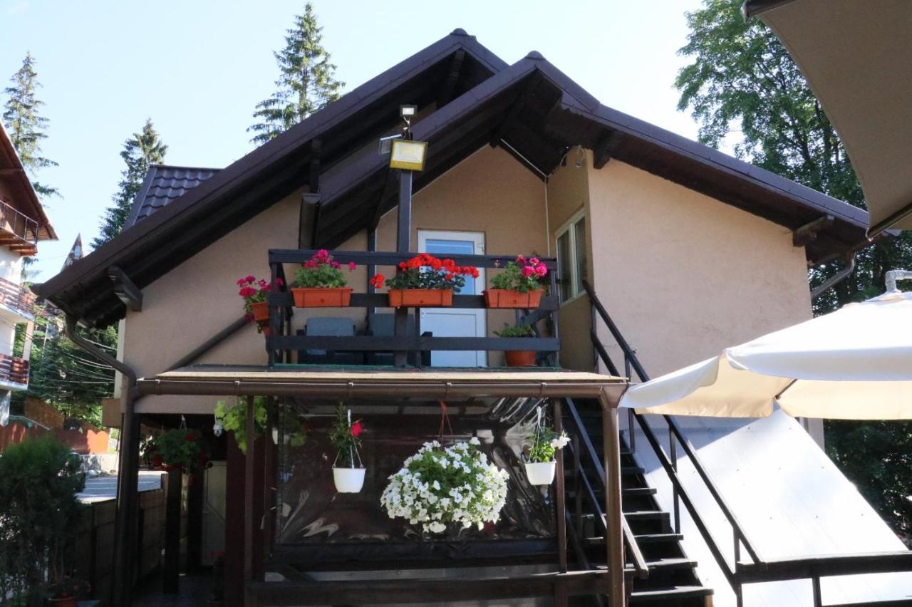 Casa Anne Marie Hotel Sinaia Exterior photo
